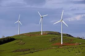 Étude d’impact environnemental : rôle, contenu et cadre réglementaire